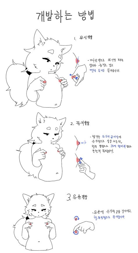 유두개발